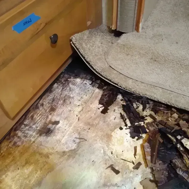 Best Wood Floor Water Damage Service in Sour Lake, TX